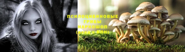 гидропоника Арсеньев