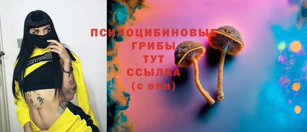 гидропоника Арсеньев