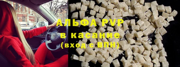 твердый Аркадак