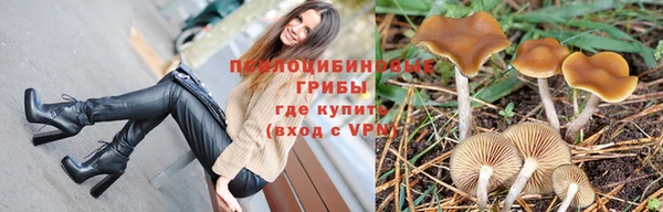 твердый Аркадак