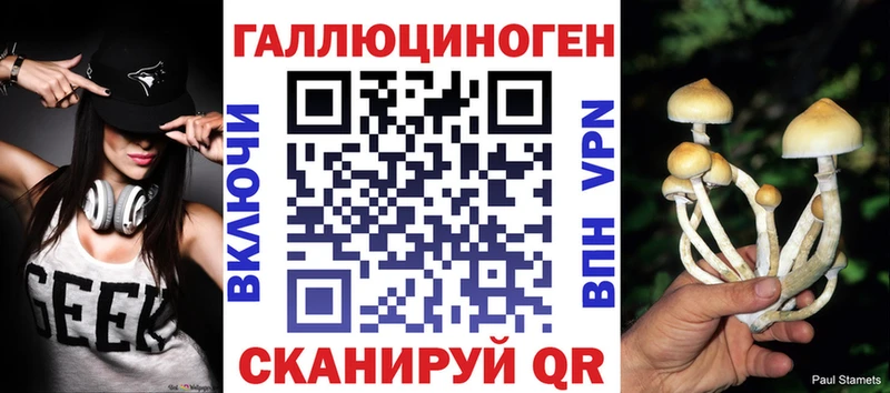 Псилоцибиновые грибы Cubensis  Купить где  Прохладный 