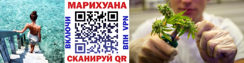 Купить где Прохладный Бошки Шишки конопля